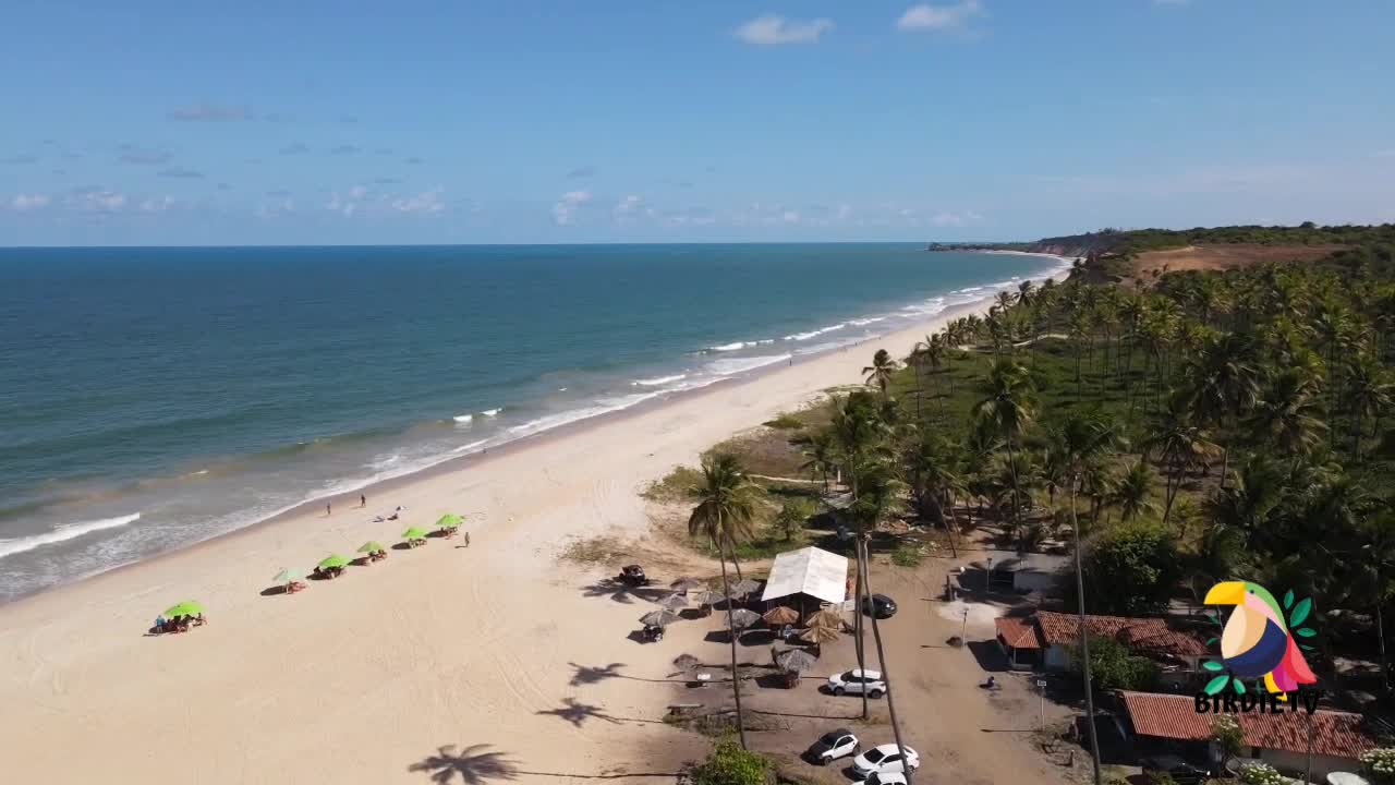 Brazilian Beach | Barra de Gramame Beach - João Pessoa - Paraiba - Brazil