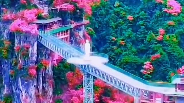 Combination of nature and craftsman