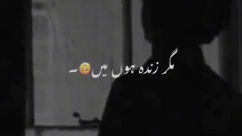 Best sad poetry (John Elia)