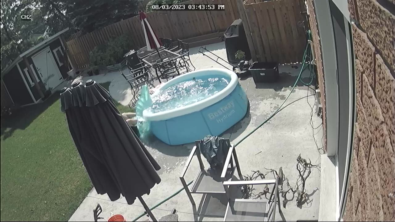 Man Slides Backwards Out Of Inflatable Pool