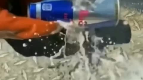 Fact video