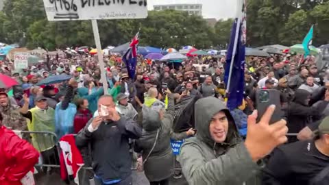 THOUSANDS OF PEOPLE ON PARLIAMENT GROUND STAND FOR FREEDOM RIGHT RALLY.