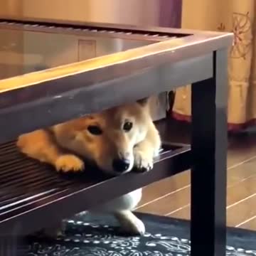 This is my face when I make a mistake