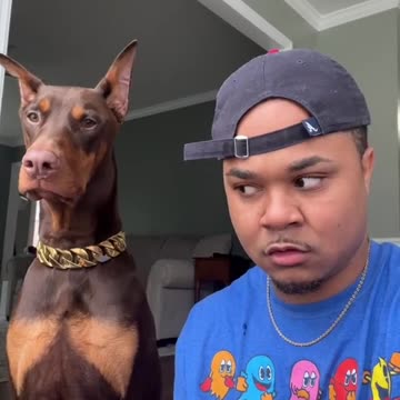 funny|prank|jokes|funny jokes|dad jokes|funny memes|funny video|fun|laughing|funny animal|knock