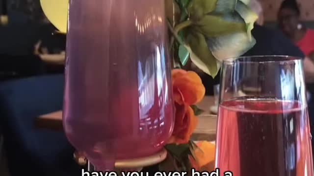 have you ever had a mimosa tree at brunch?