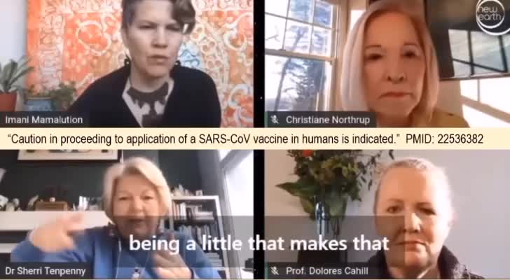 Explanation of the covid vaccine