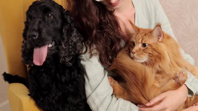 two dog resting with family