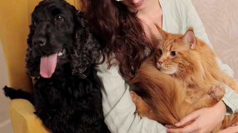 two dog resting with family