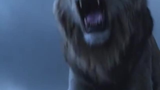 lion voice