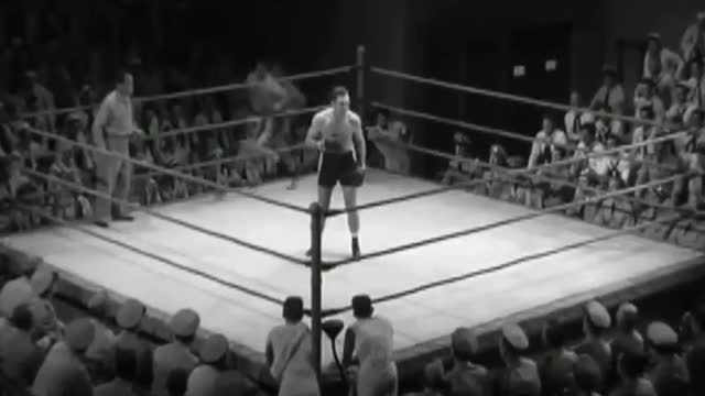 Funny boxing compilation