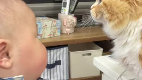 CATS E O BEIBCATS E O BEIB