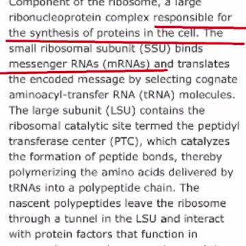 Light Can Change DNA Expression