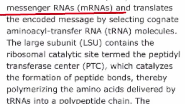 Light Can Change DNA Expression