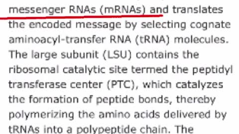 Light Can Change DNA Expression