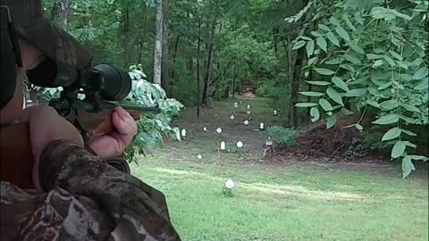 Remington 700 in 270 Winchester