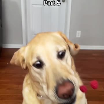 I Have A Train Set of Skills