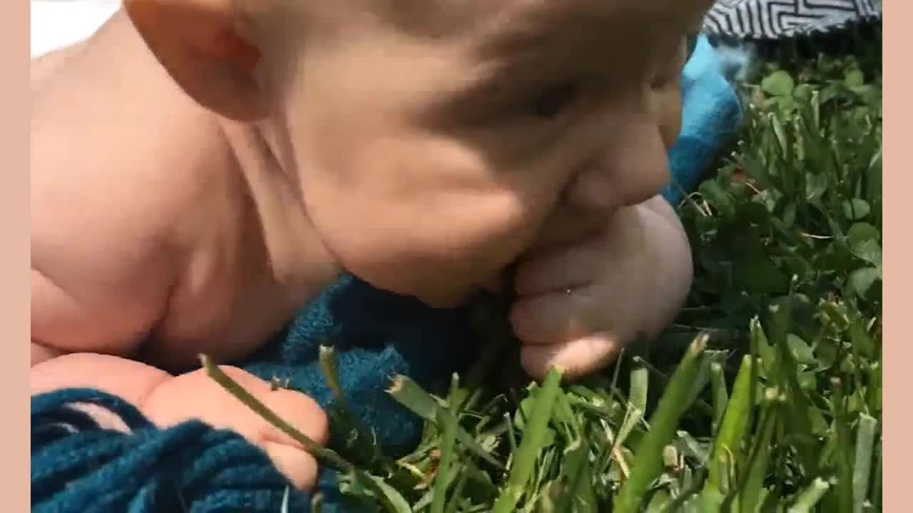 My God, my son wants to have lunch with the dog