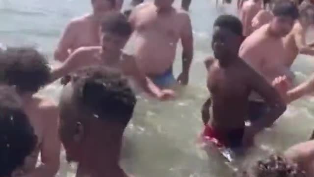 Video Shows Migrant Youths Abusing a Fish in Belgium