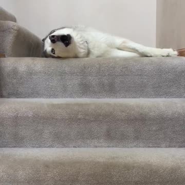 Husky Becomes Lead Vocalist Of Family’s Rock Band