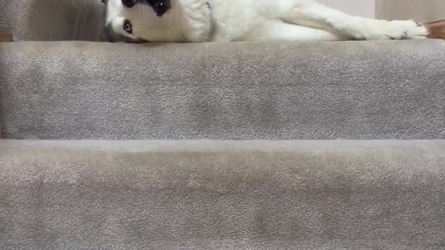 Husky Becomes Lead Vocalist Of Family’s Rock Band