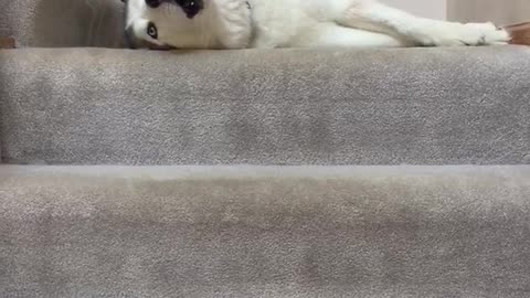 Husky Becomes Lead Vocalist Of Family’s Rock Band