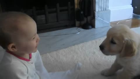 Baby and Puppy meet for the first time! (01:04)