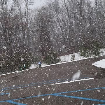 Peacefull high-def video of snow falling in nature