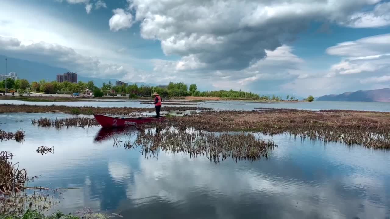 beautiful lake industrious workers