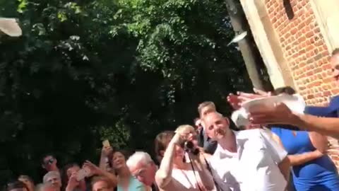 Dove falls on photographer at a wedding