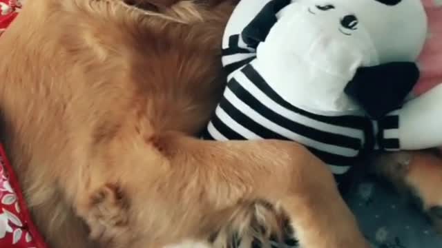 Go sleep with my friend.