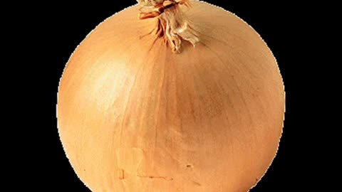 The World is Just a Great Big Onion.- Reloaded