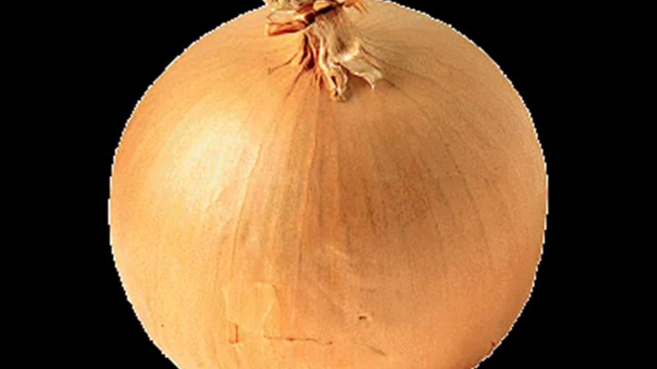 The World is Just a Great Big Onion.- Reloaded