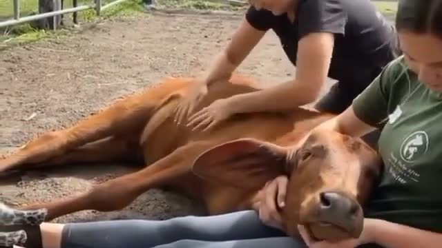 Luna loves her extended family