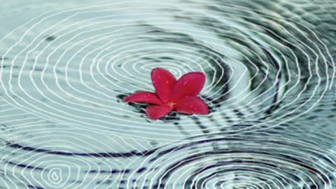 Reflections March 2021