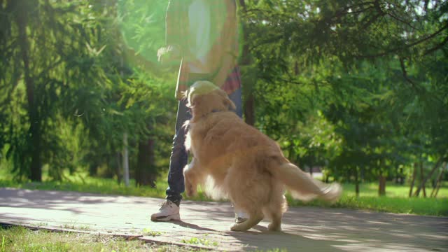The dumbest dog in the world is playing with her owner😂