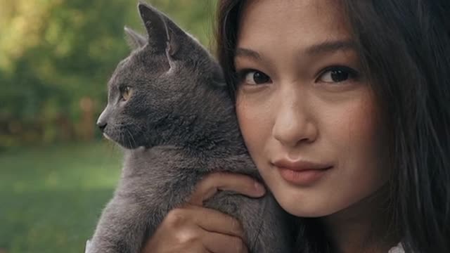 Animal video