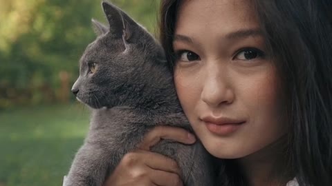Animal video