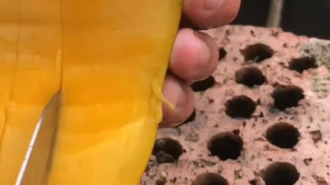 Fruits Video Farm Fresh Ninja Fruit Cutting Satisfying Fruit | Amazing Fruits Video #fruits #short