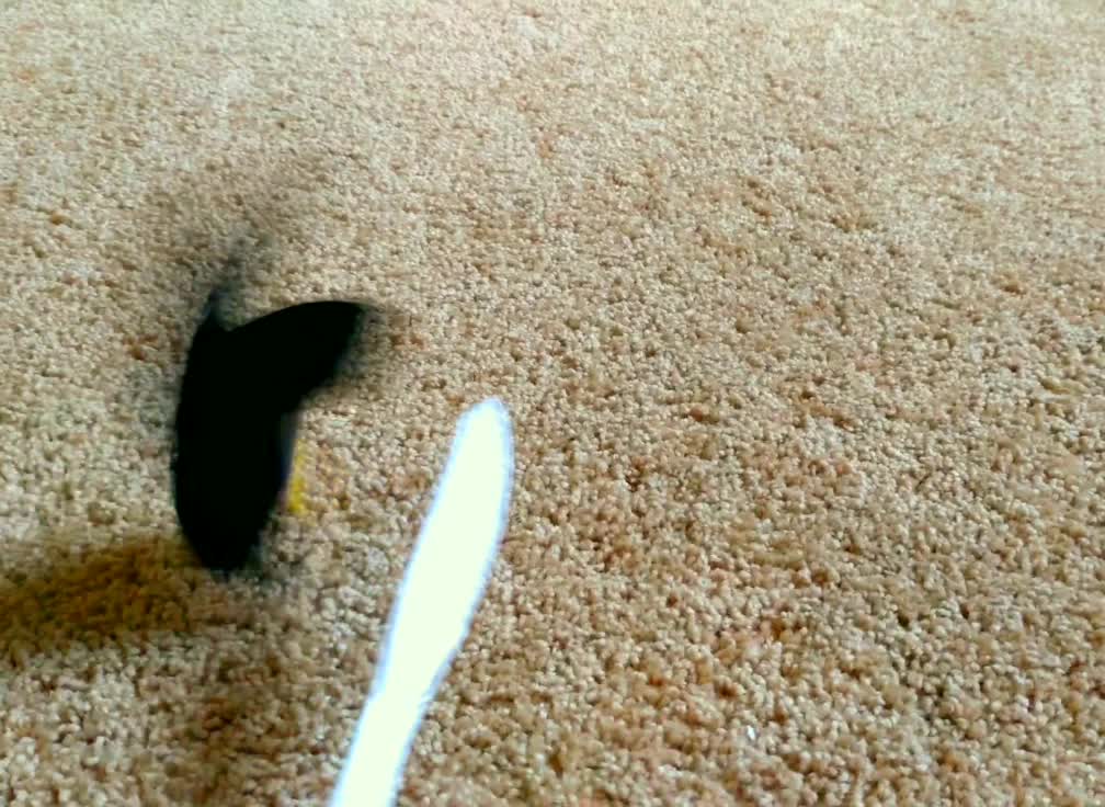 Wickedness of Rat and Mouse Traps Shown in Slow Motion.