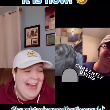 What does LGBTQ+ mean?