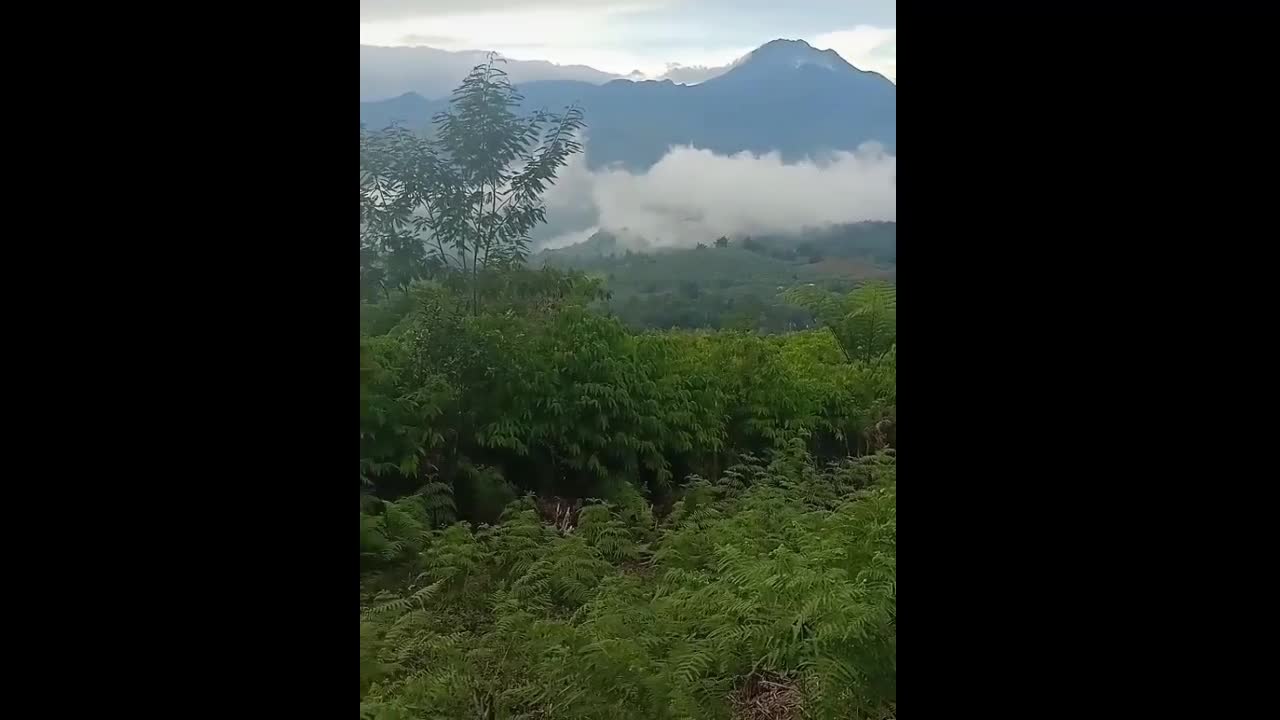 The highest mountain in the Philippines