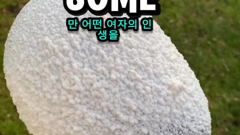 It's up to you (Korean subtitle)
