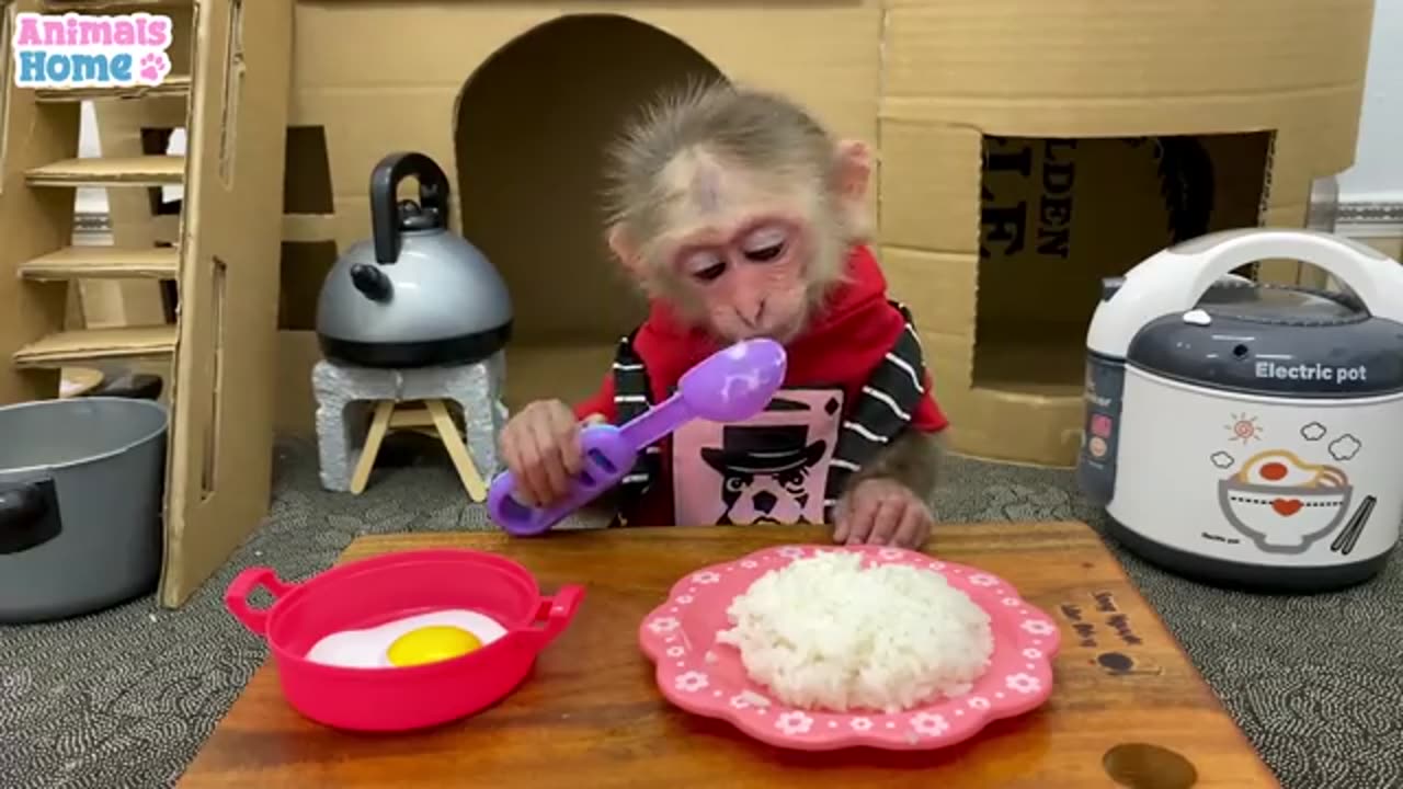 Mankey Bibi cooking breakfast