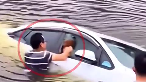 Respect ep #1 #viral #rumble # shorts