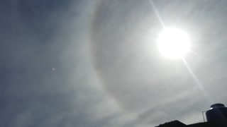 See a blush in the sun - magnificent