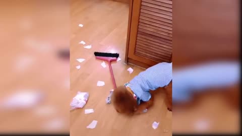 Baby Cats | Cute and Funny 😂😂 Cat Videos Compilation #4 | #OfficialDeep13