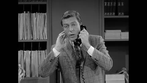 The Dick Van Dyke Show 2#11 A Bird in the Head Hurts
