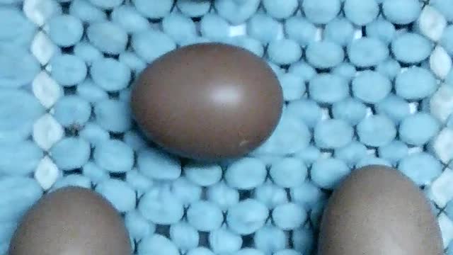 Funny shape (Eggs in the shape of a triangle)
