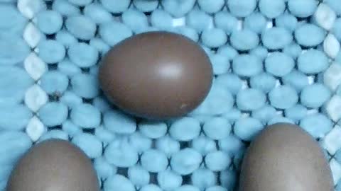 Funny shape (Eggs in the shape of a triangle)