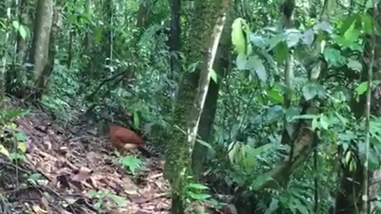 Fun & fails in worldwide with a natural perspective.